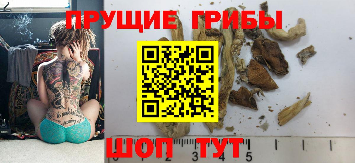 Нижнеудинск  Галлюциногенные грибы GOLDEN TEACHER  Галлюциногенные грибы MAGIC MUSHROOMS  Вход с VPN 